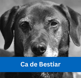 Ca de Bestiar