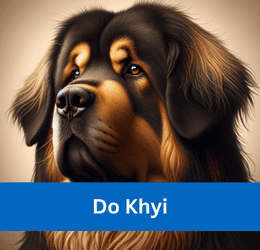 Do Khyi