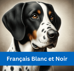 FRANÇAIS BLANC ET NOIR