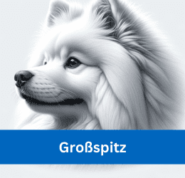 Großspitz