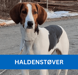 HALDENSTØVER