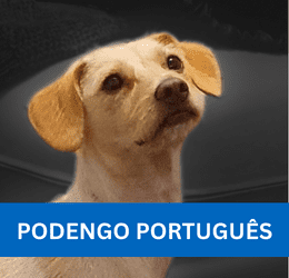 PODENGO PORTUGUÊS