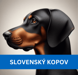 SLOVENSKÝ KOPOV