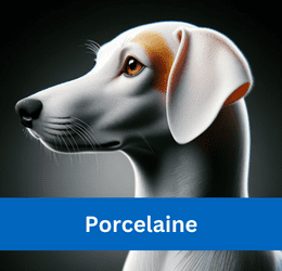porcelaine