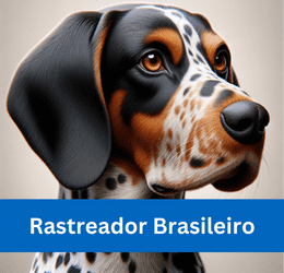 rastreador brasileiro